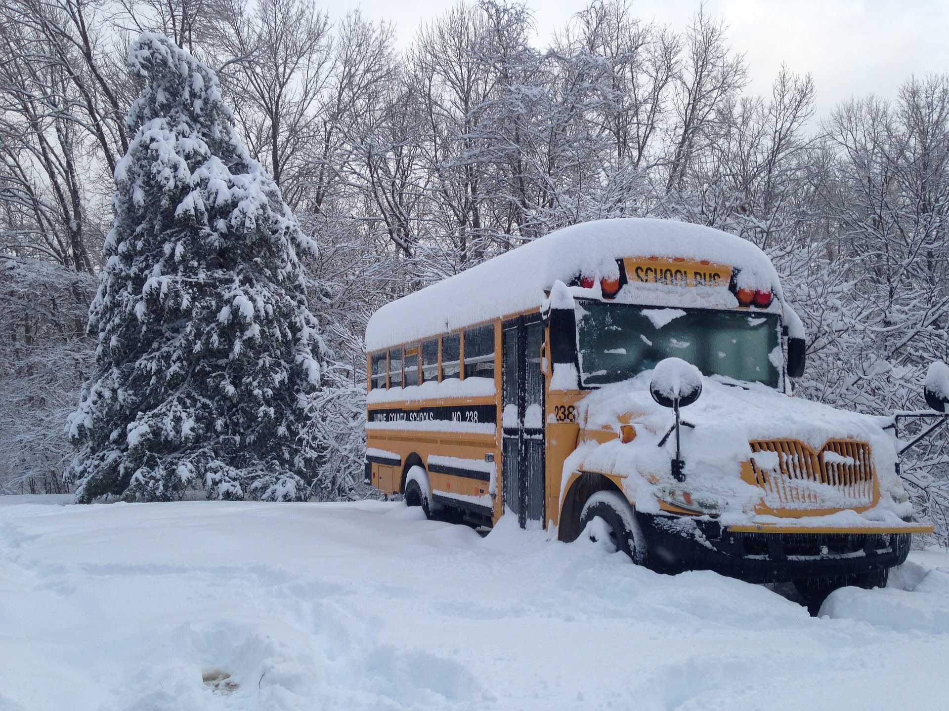 snowy bus - online learning policies