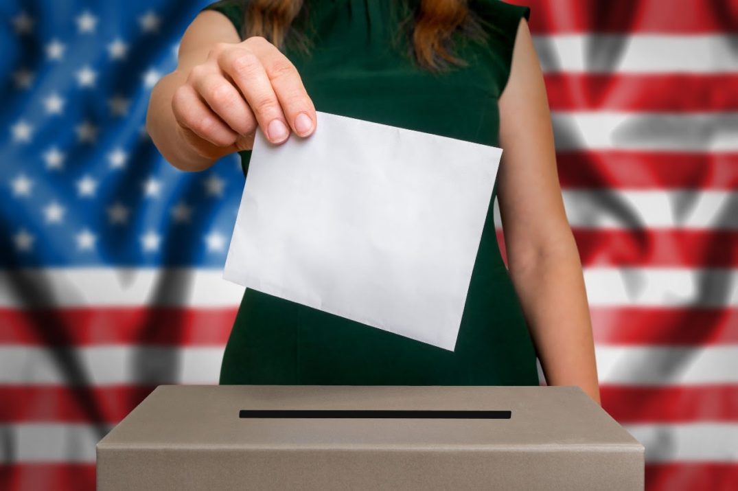 Voting Lesson Plans Teaching Democracy and Civics