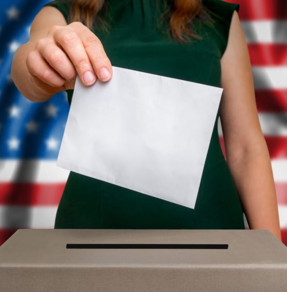 Voting Lesson Plans: Teaching Democracy and Civics