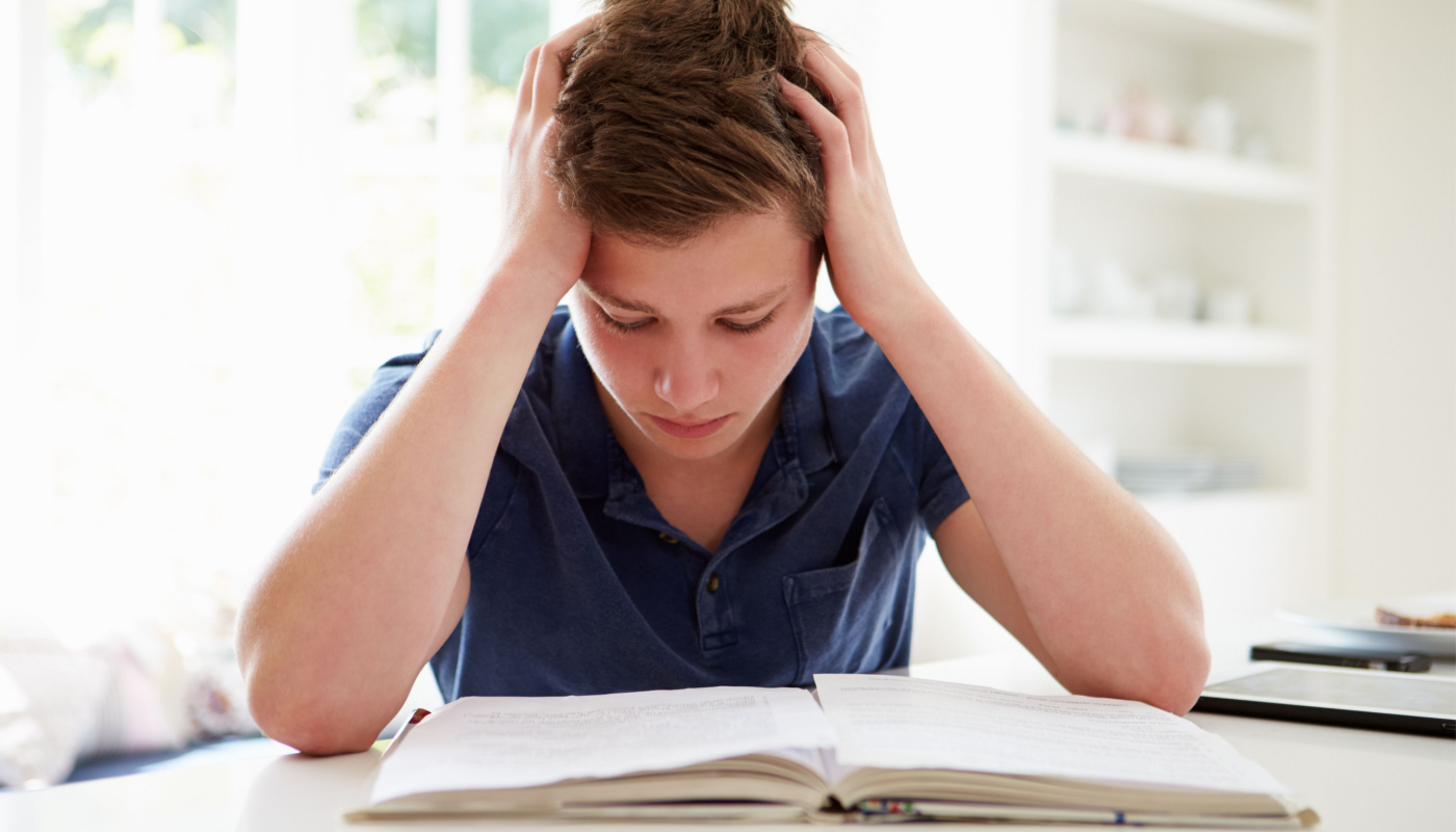 Boy studying at home; year-round school concept